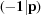 [(-{\bf 1}|{\bf p}) ]