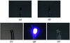 [Figure 2]