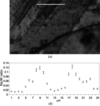 [Figure 4]
