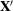 [{{\bf X}'}]