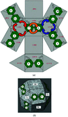 [Figure 5]