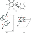 [Figure 1]