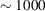[\sim 1000]