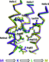 [Figure 3]