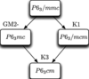 [Figure 8]