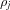 [{\rho _j}]
