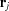 [{{\bf r}_j}]