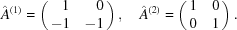 [{\hat A}^{(1)} = \pmatrix {\hfill 1 & \hfill0 \cr \hfill-1 & \hfill-1} , \quad {\hat A}^{(2)} = \pmatrix { 1 & 0 \cr 0 & 1} .]