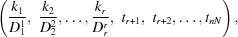 [\left({{k_1}\over{D_1^1}}, \,\, {{k_2}\over{D_2^2}}, \ldots, {{k_r}\over{D_r^r}}, \,\, t_{r+1}, \,\, t_{r+2}, \ldots, t_{nN}\right), ]