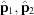 [{\hat {\bf p}}_1, {\hat {\bf p}}_2]