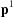 [{\bf p}^1]