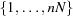[\{1, \ldots, nN\}]