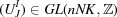 [(U^I_J) \in GL(nNK,{\bb Z})]