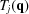 [{T_j}({\bf{q}})]