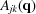 [{A_{jk}}({\bf{q}})]