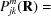 [P_{jk}^m({\bf{R}} ) =]