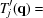 [{T'_j}({\bf{q}} ) =]