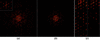 [Figure 6]