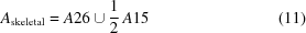 [A_{\rm skeletal} = A26 \cup {{1}\over{2}} \, A15 \eqno (11)]