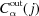 [C_\alpha^{\rm out}(\,j)]