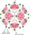 [Figure 4]