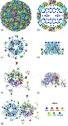 [Figure 6]