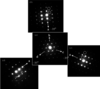 [Figure 10]