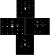 [Figure 7]