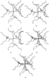 [Figure 5]