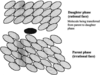 [Figure 1]