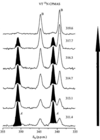 [Figure 28]