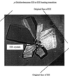[Figure 2]
