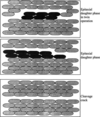 [Figure 3]