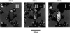 [Figure 43]