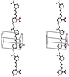 [Figure 10]