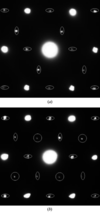 [Figure 8]