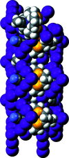 [Figure 11]