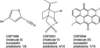 [Figure 7]