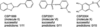 [Figure 8]