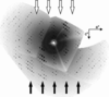 [Figure 11]