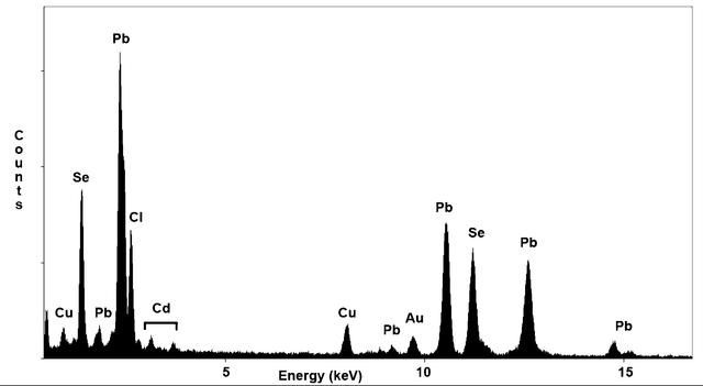 [Figure 2]