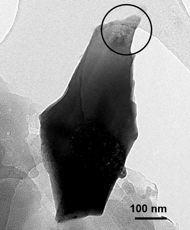 [Figure 4]