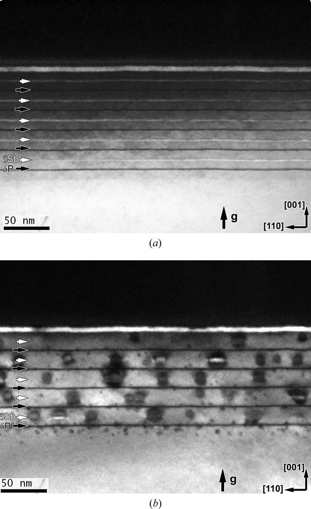 [Figure 6]