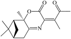 [Contents scheme]
