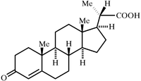 [Contents scheme]