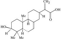[Contents scheme]