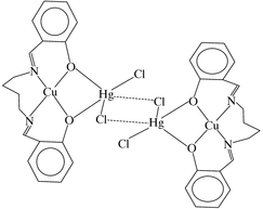 [Contents scheme]