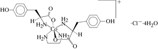 [Contents scheme]