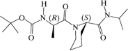 [Contents scheme]