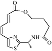 [Contents scheme]